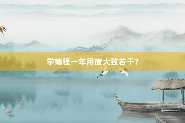 学编程一年用度大致若干？