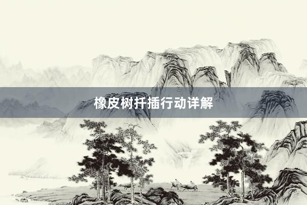 橡皮树扦插行动详解