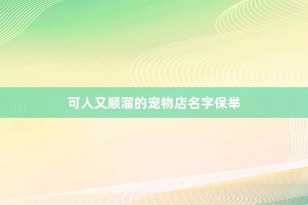 可人又顺溜的宠物店名字保举