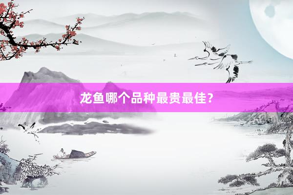 龙鱼哪个品种最贵最佳？